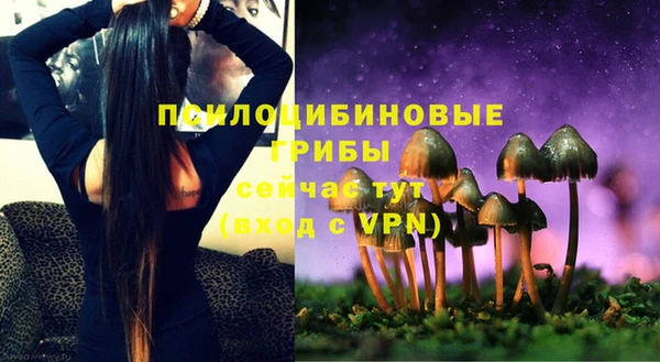 mdma Горнозаводск