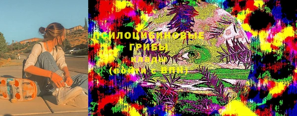 соль курить ск Горно-Алтайск