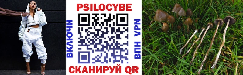MEGA ТОР Серпухов Псилоцибиновые грибы Psilocybine cubensis